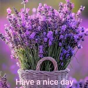 Meet your Posher, Lori